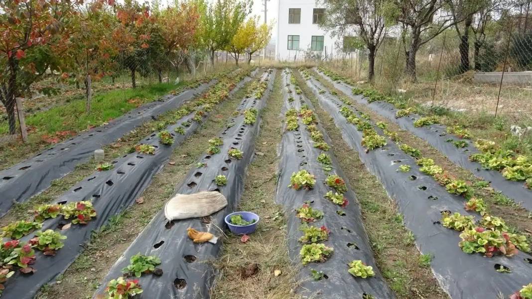 Isparta'nın Hayırsever Dedesi: 85 Yaşındaki İbrahim Dede’den Yürek Isıtan Davranış! 5